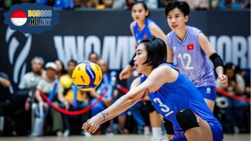 Cầu Thủ Bóng Chuyền Nữ Hot Nhất Dành Cho Anh Em Mê Cái Đẹp 1 Cầu Thủ Bóng Chuyền Nữ Hot Nhất Dành Cho Anh Em Mê Cái Đẹp